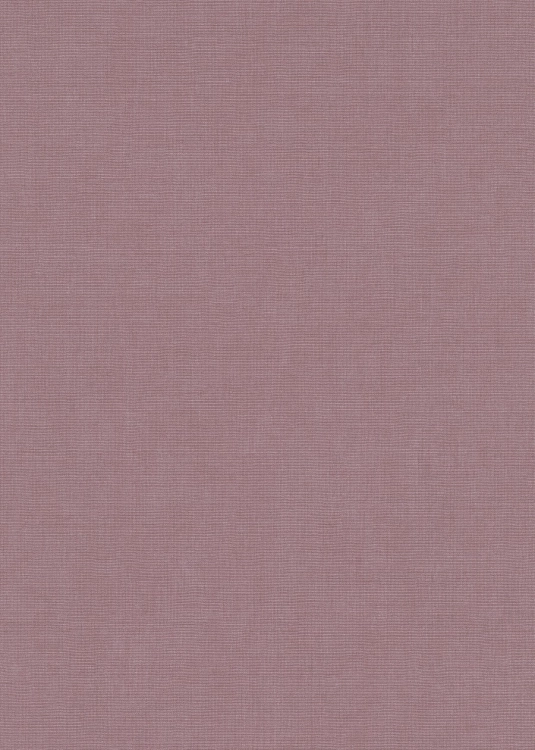 10539-09 Erismann Aurora.jpg