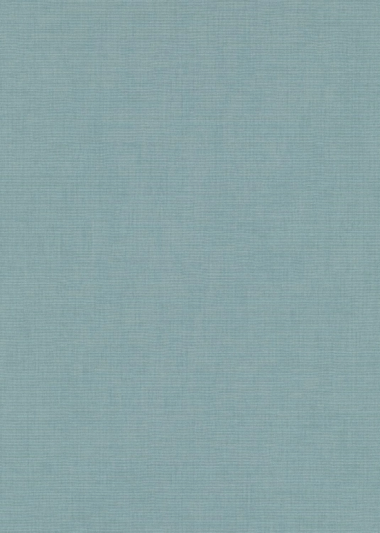 10539-08 Erismann Aurora.jpg