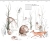 364903 6 Fototapeta Rasch Kids World_II.jpg