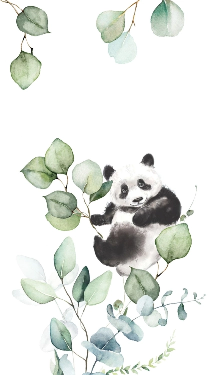 364835 Fototapeta Rasch Kids World_II panda miś eukaliptus
