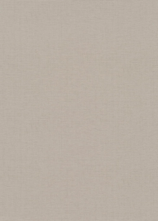 Tapeta na flizeline 10541-37 Erismann Fashion for Walls 5 bura struktura worka szaro beżowy toupe