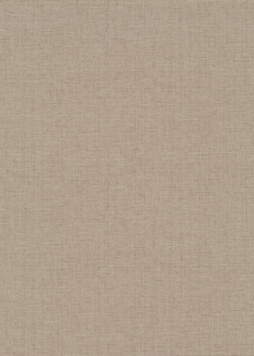 10541-32   Tapeta ścienna Erismann.jpg