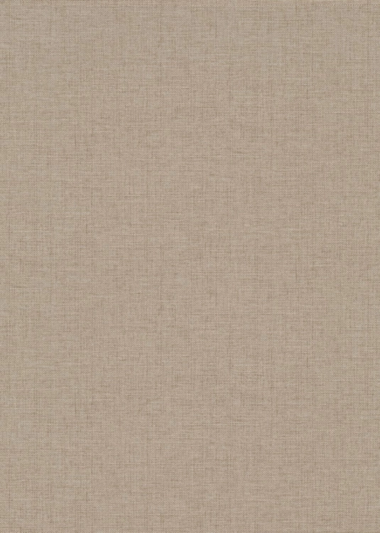 10541-32   Tapeta ścienna Erismann.jpg