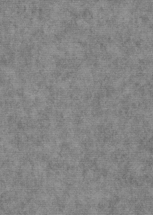 Tapeta srebrne płótno na flizelinie 10473-29 Erismann Elysium