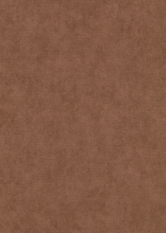 Tapeta ceglaste płótno na flizelinie 10473-48 Erismann Elysium