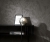 Tapeta brązowe kwiaty liście na flizelinie 10654-37 Erismann Elle Decoration 5