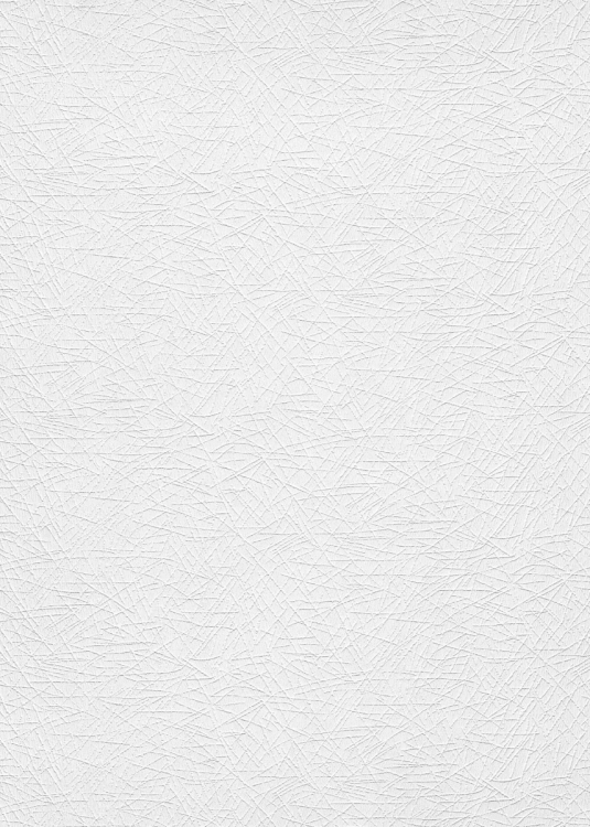 Flizelinowa tapeta do malowania 10,05m * 0,53m 11034-10 Erismann RollOver