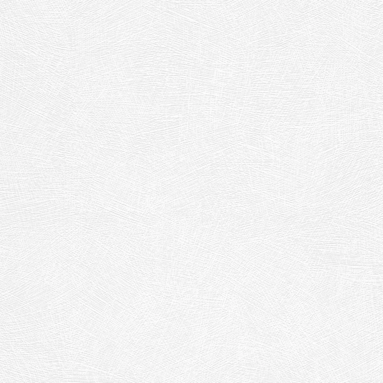 Flizelinowa tapeta do malowania 25m * 1,06m 13004-14 Erismann RollOver