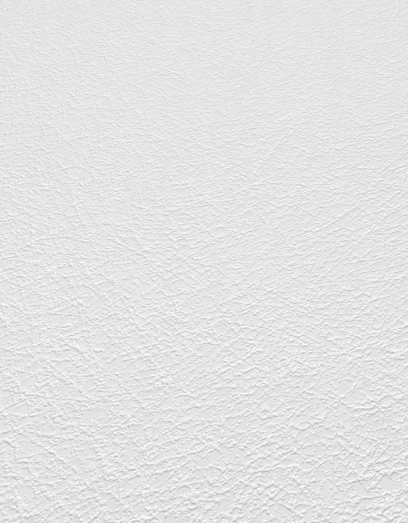 Flizelinowa tapeta do malowania 10,05m * 0,53m 11039-10 Erismann RollOver