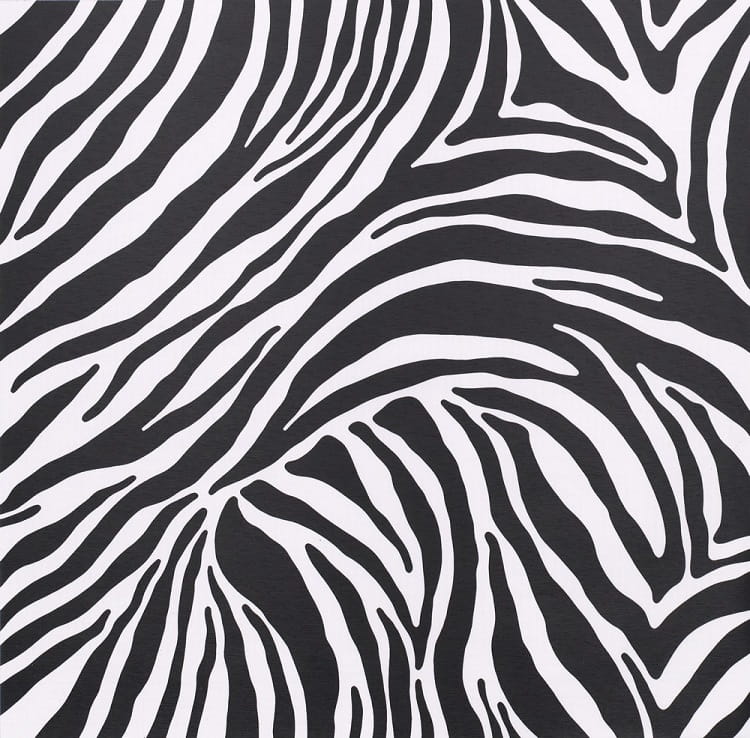 okleina samoprzylepna zebra czarno-biała, 10133