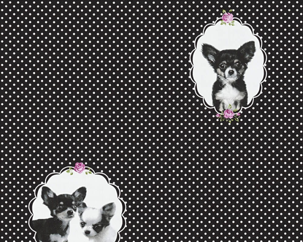 Tapeta AS Little Stars 35851-2, tapeta dziecięca, tapeta w kropki, tapeta w pieski