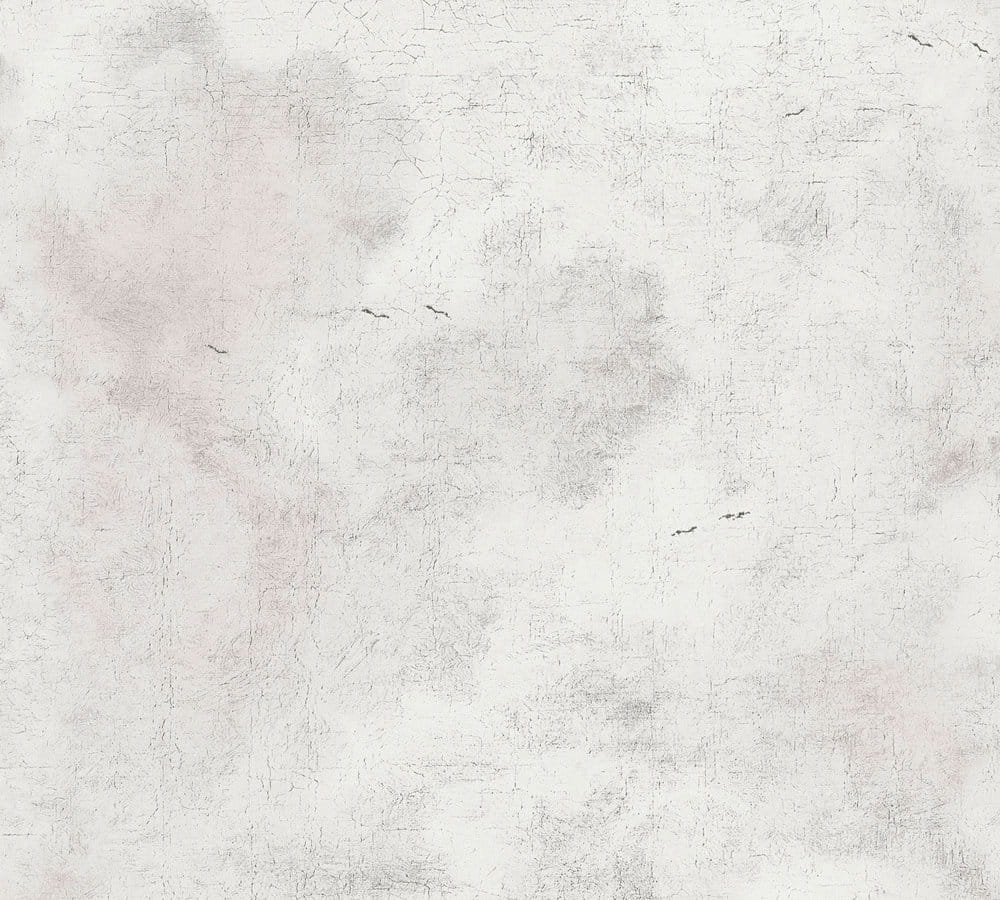 Tapeta AS History of Art 37649-4, tapeta w chmury na tynku koloryzowanym, dekoracyjny w szarym kolorze