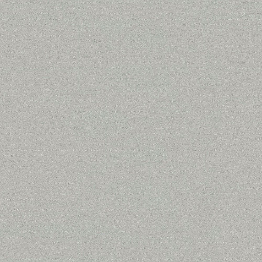 Tapeta ścienna AS New Life 3533-20, tapeta ścienna na flizelinie jednokolorowa szara