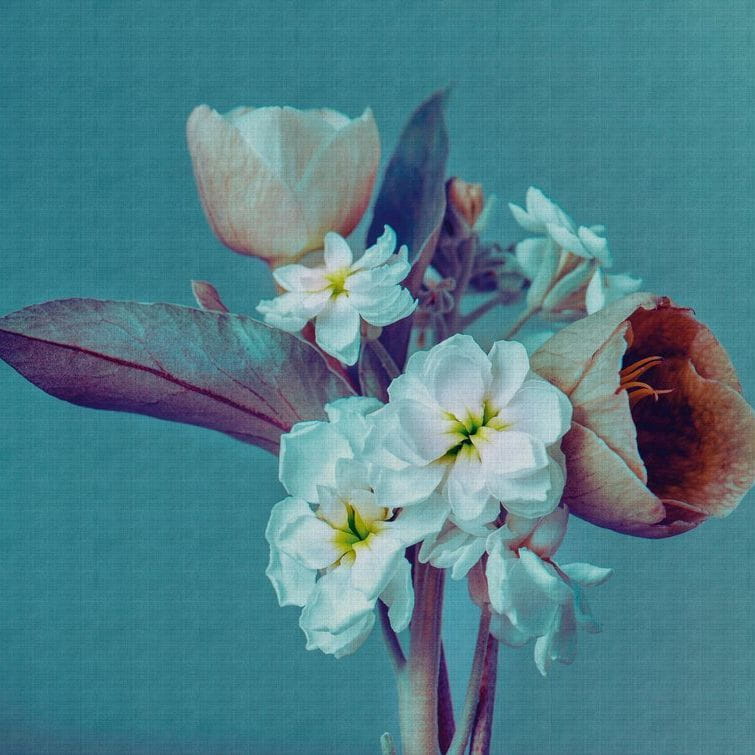 Metropolitan Stories The Wall 38269-1 Tapeta ścienna AS-MURAL, kwiaty, bukiet kwiatów