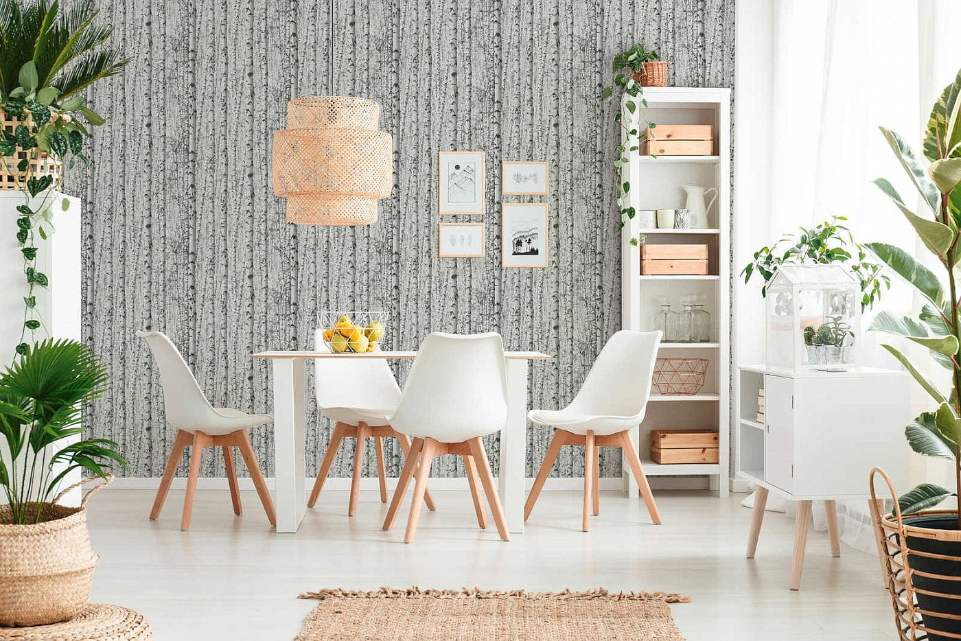 Print Walls 38719-1 Tapeta ścienna AS, brzozy, drzewa, 3d