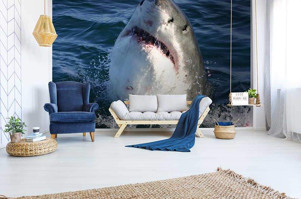 ocean