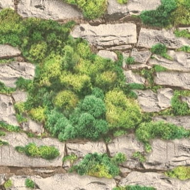 Tapeta ścienna na flizelinie 5837-01 kamień z mchem