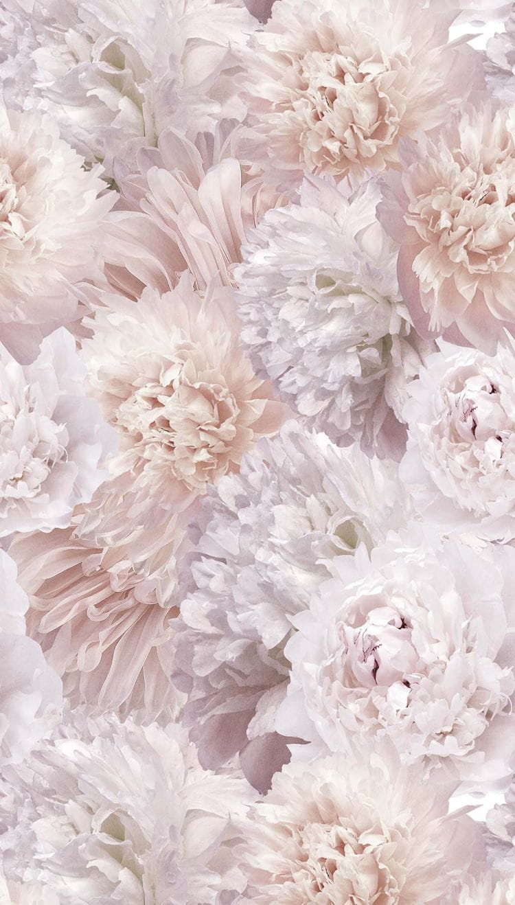 Tapeta ścienna A77501 Fontaine – subtelne, pełne kwiaty w pudrowej tonacji