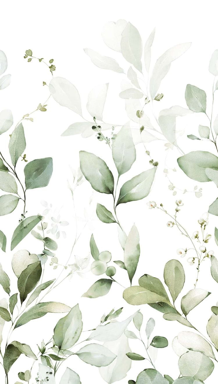 Tapeta ścienna Liście Akwarela – zielony motyw roślinny na jasnym tle | Styl botaniczny, skandynawski